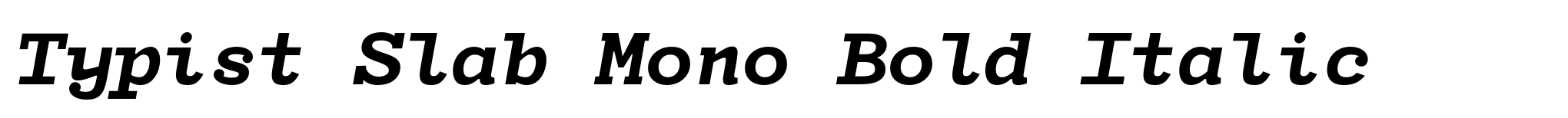 Typist Slab Mono Bold Italic image